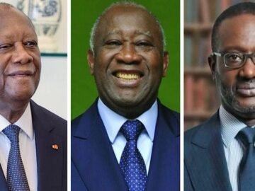 Pour qui voteriez-vous ?